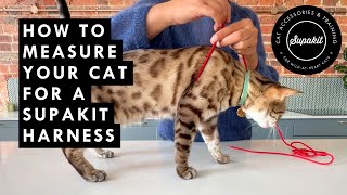 The Supakit Cat Harness  How To Measure Your Cat [upl. by Lucien681]