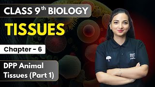 ANIMAL TISSUE  REVISION WITH QUESTION PRACTICE  CBSE amp NEET EXAM  UNFILTERED CLASSES [upl. by Boothman]