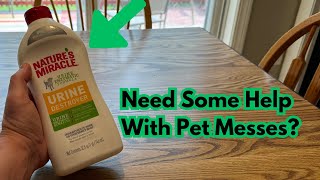 Nature’s Miracle Urine Destroyer Plus Dog 32 Ounces Enzymatic Formula dog cat pets [upl. by Nauqas]