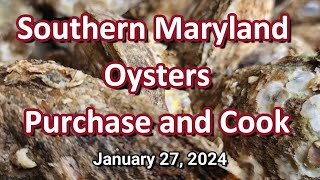 Southern Maryland Oysters Purchase and Cook 01272024 [upl. by Enowtna]