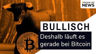 BITCOIN BULLISCH  DAS spricht aktuell für BTC [upl. by Ylera]