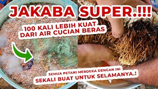 Pupuk Organik Cair ini 100 Kali Lebih Kuat Dari Air Cucian Beras  Leri  JAKABA SUPER [upl. by Loeb609]