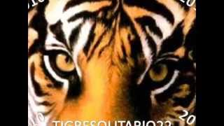 LA TEMPORADA ES BUENA  LOS TIGRES DEL NORTE ESTUDIO [upl. by Tran]