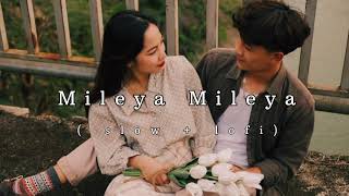 Mileya Mileya l Lofi Music l lofislowedreverbsongtrendinglofi [upl. by Ion]