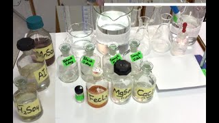 BOD Biochemical Oxygen Demand Experiment [upl. by Griselda]