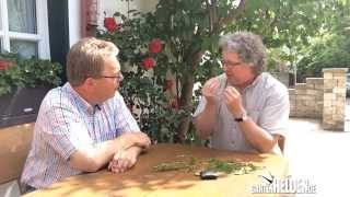 gartenHELDENde Experten Interview mit Pflanzenschutzexperte Ralf Jung Woche 212014 [upl. by Freya371]