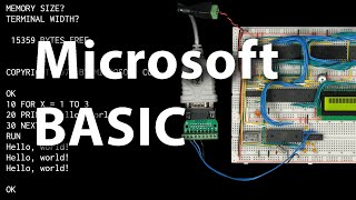 Running MSBASIC on my breadboard 6502 computer [upl. by Eelanaj]