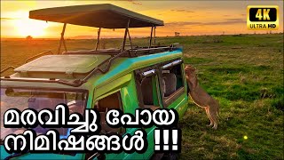 ശ്വാസമടക്കിപ്പിടിച്ചിരുന്ന നിമിഷങ്ങൾ  Maasai Mara Episode 3  4K UHD [upl. by Ennairoc]