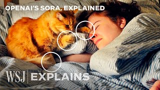 OpenAI’s Sora How to Spot AIGenerated Videos  WSJ [upl. by Barcellona]