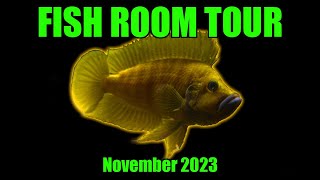 Tanganyikan Cichlids  Fish Room Tour [upl. by Alamat]