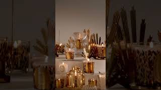 Ray Collection  Holiday Season Collection  DIPTYQUE PARIS [upl. by Alba]