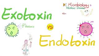 Exotoxins vs Endotoxins  Microbiology 🧫 amp Infectious Diseases 🦠 [upl. by Ney]