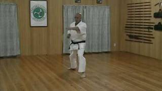 quotKIHON KATAquot RYUKOKU SEIDOKAN KARATE [upl. by Ynitsed592]