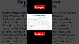 Baptisia tinctoria youtubeshorts matariamedica aiapgetpreparation aiapget shorts homoeopathic [upl. by Charters]