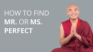 How to Find Mr or Ms Perfect with Yongey Mingyur Rinpoche [upl. by Yesmar715]