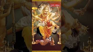 NARASIMHA KAVACHA STOTRAM shorts [upl. by Frederich]