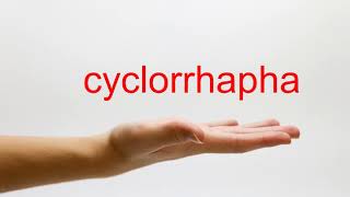 How to Pronounce cyclorrhapha  American English [upl. by Dweck75]