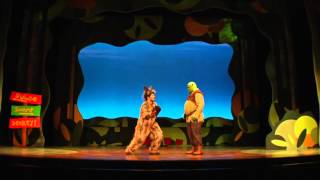 Shrek The Musical on stage NOW until January 3rd [upl. by Ardnac]