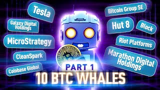 Top 10 Bitcoin Whales The Biggest Bitcoin Holders Revealed [upl. by Hulton]