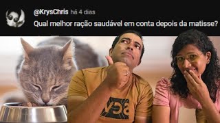 Melhor RAÇÃO para GATOS BOA e BARATA [upl. by Otcefrep]