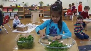 Nurturing the Love of Learning Montessori Education for the Preschool Years [upl. by Kal]