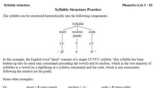 Syllable Structure in English [upl. by Ailenroc]