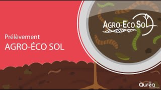 AUREA prélèvement Agro Eco Sol [upl. by Manas]