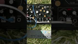 Make Noise Strega Destroys OPZ synthesizer [upl. by Anairam680]