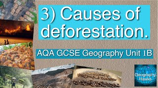 3 Causes of deforestation  AQA GCSE Geography Unit 1B [upl. by Ueihttam]