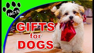 Best Christmas Presents for Dogs 101 [upl. by Droflim]