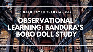 Observational Learning Banduras Bobo Doll Study Intro Psych Tutorial 67 [upl. by Nolyd]