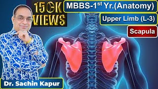 MBBS  First Year  1st Prof  Anatomy  Upper Limb L3  Scapula  Dr Sachin Kapur  AIIMS [upl. by Hunfredo884]