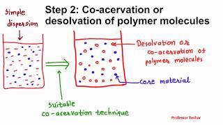 Microencapsulation by coacervation phase separation Microcapsule preparation [upl. by Ihc]