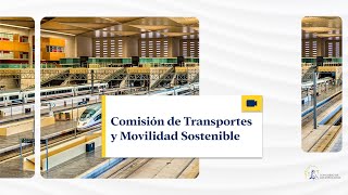 Comisión de Transportes y Movilidad Sostenible  24012024 traducción [upl. by Ibmat]