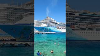 Royal Caribbean shorts royalcaribbean cruise cruiseship [upl. by Saffren220]