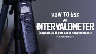 How to use an intervalometer timelapse photography [upl. by Vitus962]