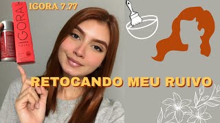 RETOCANDO O CABELO RUIVO EM CASA FÁCIL E RÁPIDO  IGORA 777 ✨ 🧡 [upl. by Siesser]