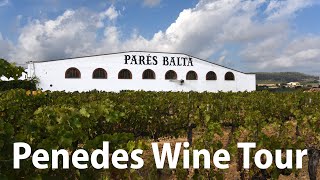 Penedes Cava Wine Tour Barcelona Spain [upl. by Castor]