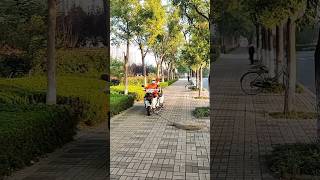 Creative tools to clean up fallen leaves on the roadside [upl. by Inaja667]