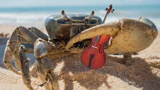 Crab Rave but its Classical music [upl. by Marozik]