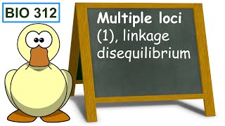 Multiple loci 1 linkage disequilibrium [upl. by Yovonnda]