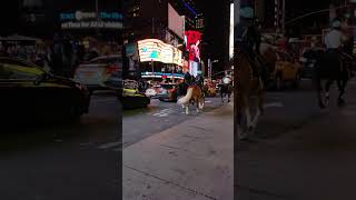 NYPD Friendly Wave Police Horses In Times Square NYC shorts nypd horse timessquare police nyc [upl. by Kcirrej]