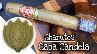 CAPA CANDELA NOS CHARUTOS [upl. by Aelyk]