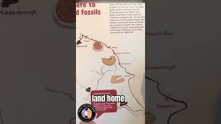 Yorkshire Fossils Uncovering Ancient Ecosystems York UK [upl. by Salisbury]