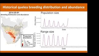 African workshop on fenthion risks and alternatives for quelea birds control Martin Dallimer [upl. by Ellehcal]