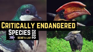 Critically Endangered Species in The Philippines  Endemic Fauna 2022 [upl. by Ambrose154]