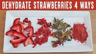 What to do with Too Many Strawberries  Dehydrate Strawberries in 4 ways [upl. by Fredenburg]