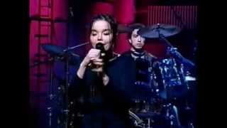 Björk  Human Behaviour Original studio version on live video [upl. by Siblee]