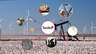 Sedex  Empowering responsible supply chains [upl. by Alicea]