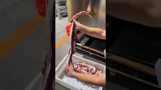 Spare ribs machine Fresh lamb ribs cutting machine [upl. by Getraer618]